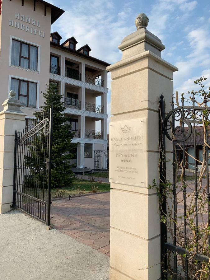 Pension Hanul Andritei Craiova Extérieur photo