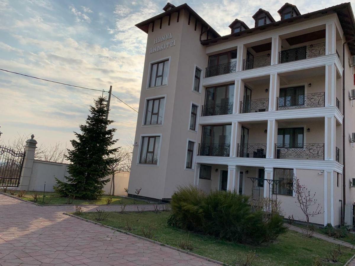 Pension Hanul Andritei Craiova Extérieur photo